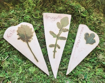 Leafy Greens  Plant Marker 3 Piece Set of Garden Stakes