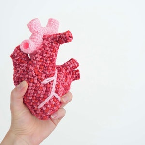 PDF CROCHET PATTERN Human Heart image 4