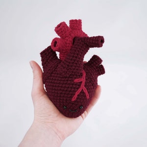 PDF CROCHET PATTERN Human Heart image 2