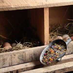 Chicken Nesting Box Herbs - Premium Blend 14 Dried Herbs & Flowers For