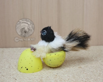 Poseable Gryphon Griffon Hatchling Art Doll Hatchling Baby Egg