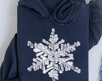 Liberal Snowflake Protest Hoodie, Rage Against the Regime Hooded Sweatshirt, Quiet Resistance Activist Pullover, Cozy Liberal Leftist Gift