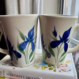 May include: Two cream-colored ceramic mugs with large handles. Each mug is decorated with a blue iris flower design with green leaves. The mugs are sitting on top of a stack of books.