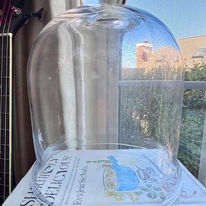 May include: A clear glass cloche with a rounded dome shape and a spherical handle at the top. The cloche is positioned on top of a cookbook titled Shrimply Delicious by Eva Jean Schulz, which features a blue illustration of a shrimp dish.