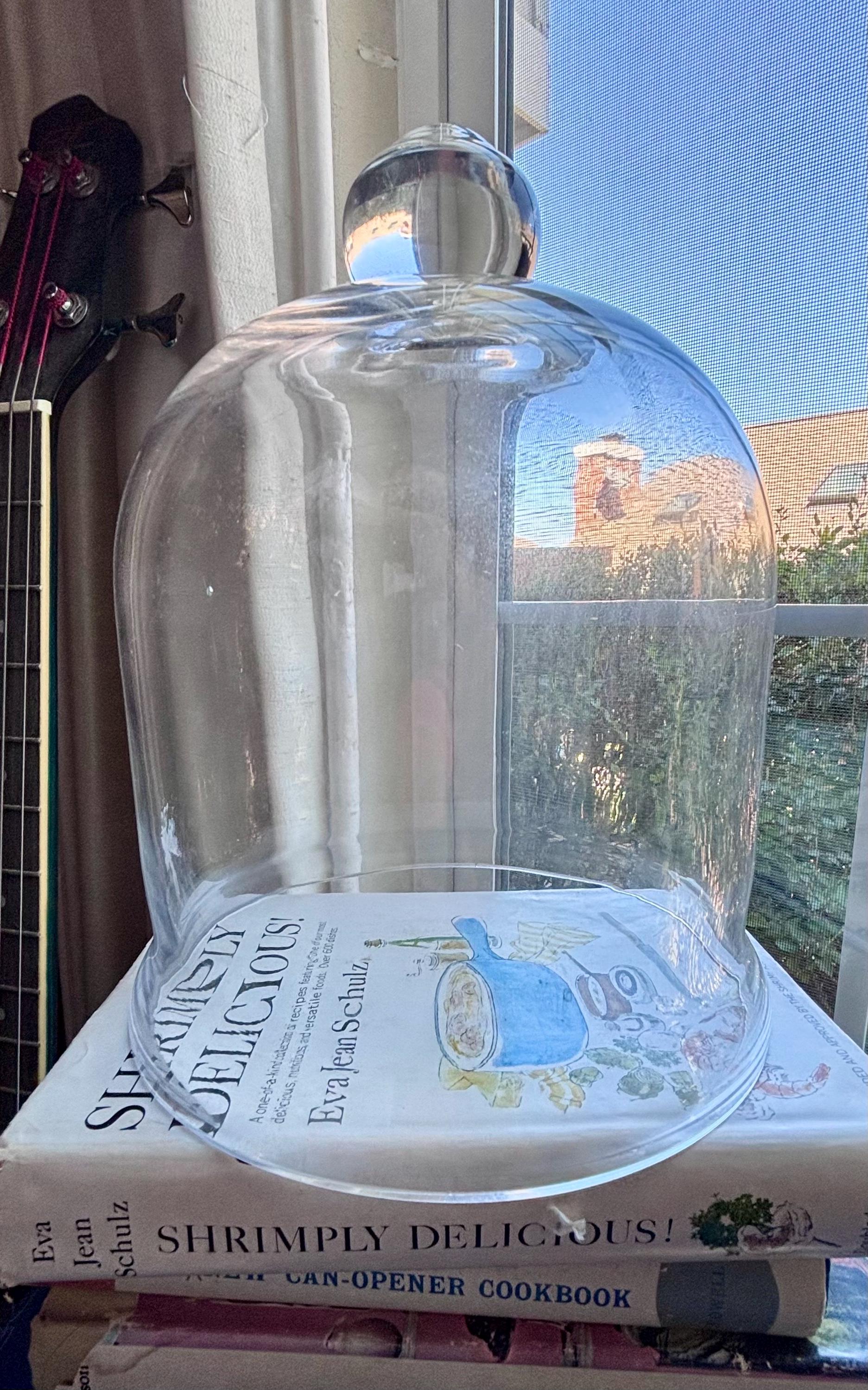 French Vintage Glass Cloche - Etsy
