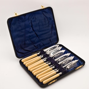 Vintage Antique Faux Bone Handled Fish Knife & Fork Cutlery Set in Box, 6 Fish Forks, 6 Fish Knives, HHEPNS, Year 1920s Made in Europe