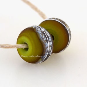 PISTACHIO Matte Round Earring Pair Lampwork Glass Bead taneres, silvered ivory and fine silver wrap, 10x12 mm, round glass beads image 3