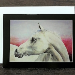 Carte d'art, carte de voeux, oeuvre d'art originale, oeuvre d'art équine, titre : White Horse - Arabian