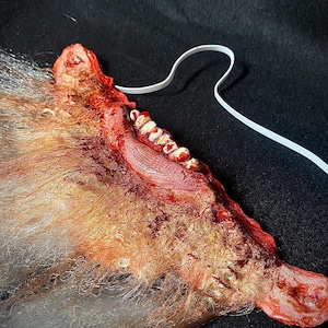 May include: A gruesome, realistic Halloween mask depicting a bloody, exposed jawline with visible teeth. The mask features a combination of red, brown, and tan colors, with attached faux fur and a white elastic strap for wear.