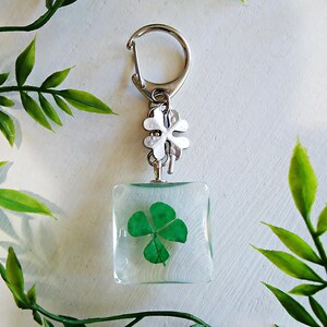 Lucky Bag Charm, Dried Four Leaf Clover Zipper Pull, Pressed Clover in Glass, Keychain