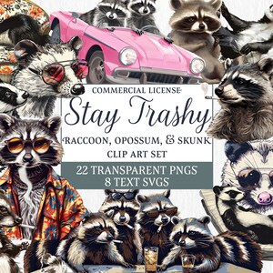 Stay Trashy Shirt Design / Sarcastic Png / Opossum Png / Funny Raccoon Skunk and Opossum Clipart / Divertido diseño de sublimación / Papelera no