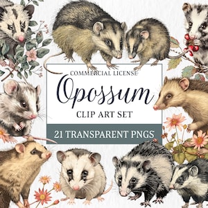 Ensemble de cliparts adorable opossum - créature mignonne graphiques PNGs, illustrations lunatiques d'opossum, téléchargement immédiat rester poubelle