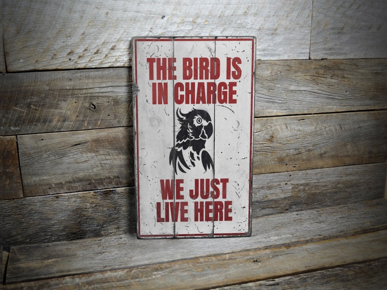 a sign on a wooden wall that says the bird is in charge we just live