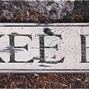 1.00 Skee Ball Wood Sign, Skee Ball Arcade Decor, Sign For Antique Arcade Games - Rustic Hand Made Vintage Wooden Sign Decoration