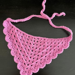 Gepersonaliseerde hondenbandana