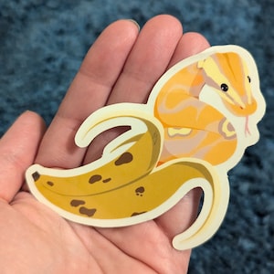 May include: A yellow and white snake curled inside a yellow banana peel sticker. The banana peel has brown spots.