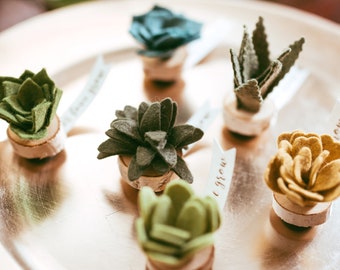 Succulent Favors - Felt Succulent Magnet Wedding Favors - Set of 30