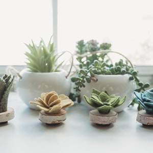 Felt Succulent Magnets Set of 4 image 1