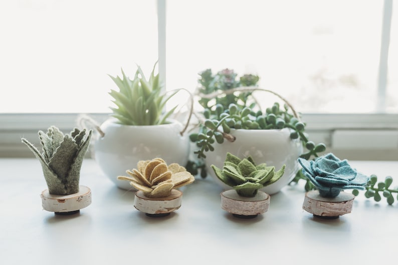 Felt Succulent Magnets Set of 4 image 1