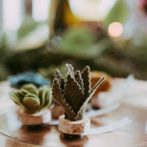 Succulent Favors Felt Succulent Magnet Wedding Favors Set of 30 immagine 8