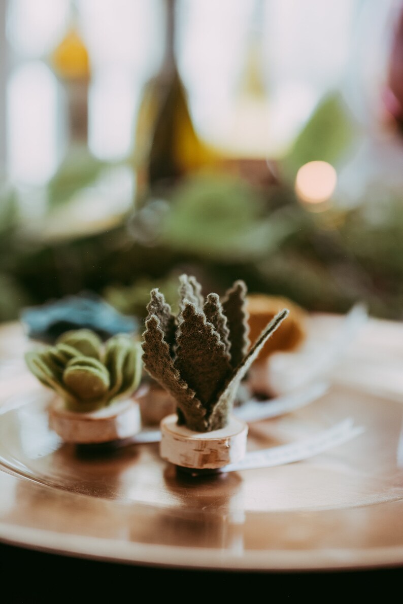 Succulent Favors Felt Succulent Magnet Wedding Favors Set of 30 immagine 8