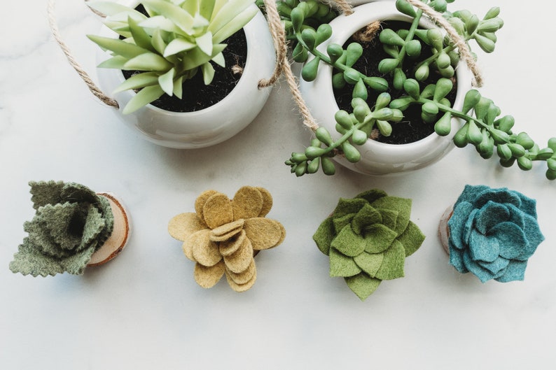 Felt Succulent Magnets Set of 4 image 2