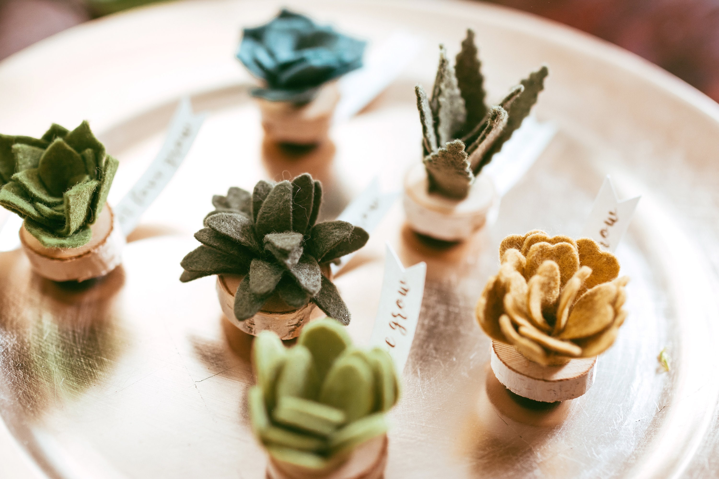 Let Love Grow Felt Succulent Magnets