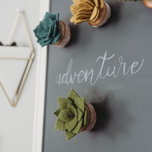 Felt Succulent Magnets Set of 4 image 4