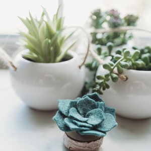 Felt Succulent Magnets Set of 4 image 9