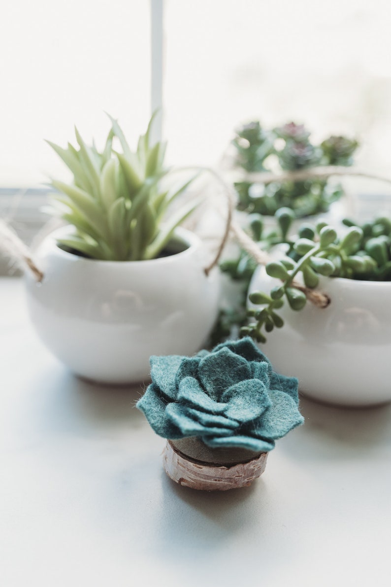 Felt Succulent Magnets Set of 4 image 9