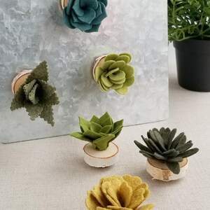 Succulent Favors Felt Succulent Magnet Wedding Favors Set of 30 immagine 4