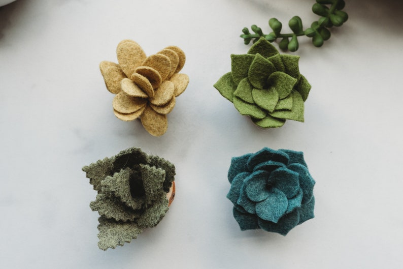 Felt Succulent Magnets Set of 4 image 10