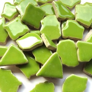 Light Green Ceramic Jigsaw Shaped Mosaic Tiles Pieces - 50 Tiles - 4-20 mm x 4 mm -  Mixed Media, Crafting and Art Supplies