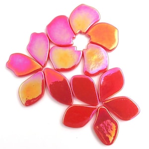 May include: A collection of iridescent glass flower petals in shades of red, pink, and orange. The petals are arranged in a flower shape.