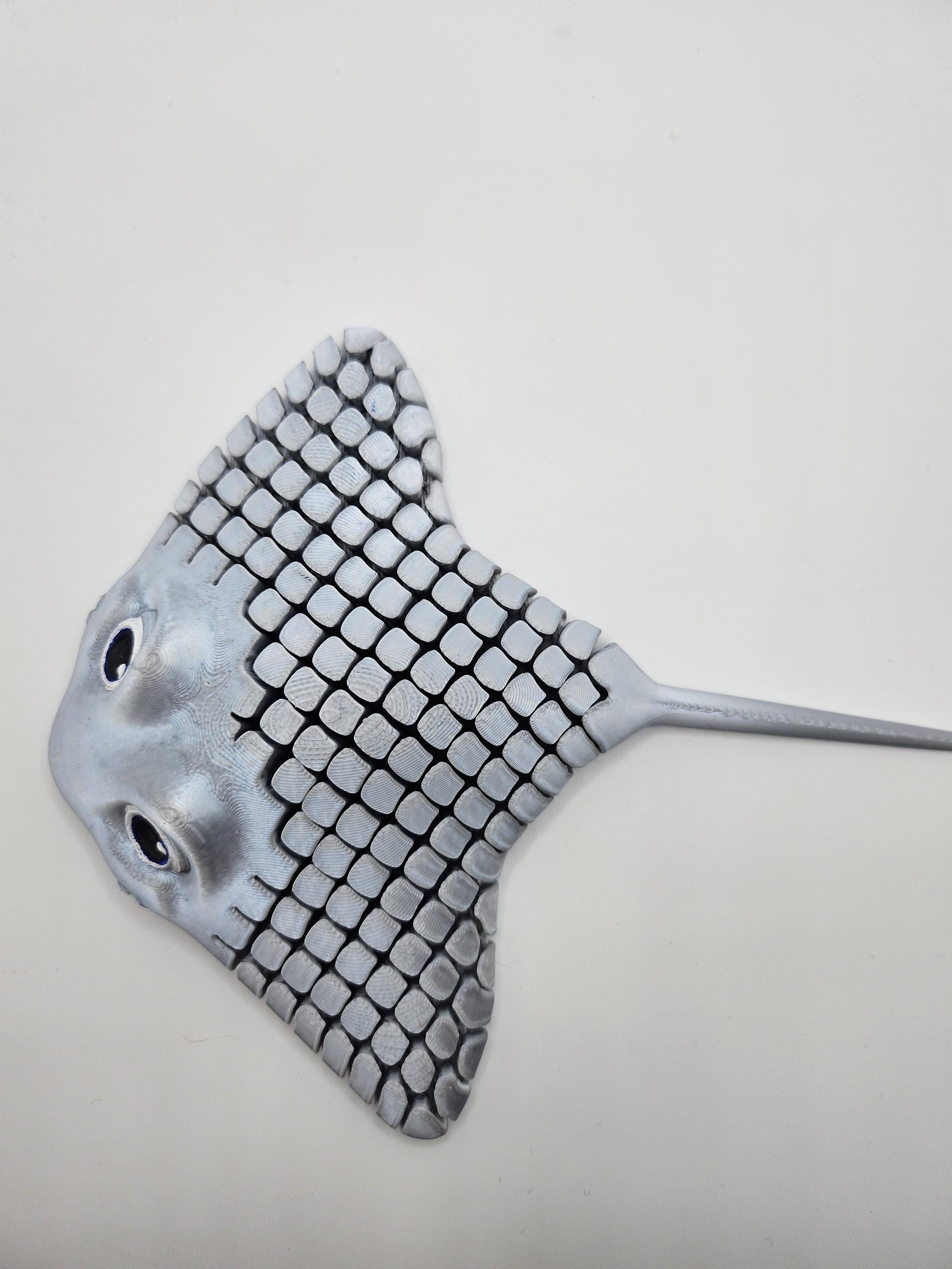 Ray Fidget Stingray 3D Printed Articulated Flexi Fidget Toy Ray! Printed in Your ...