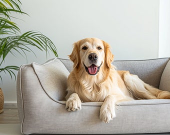 Dog Sofa, Large Dog Sofa, Luxury Dog Sofa Bed, Velvet Dog Bed, Large Dog Bed, Custom Dog Bed, Pet Dog Bed, Pet Dog House, Plush Dog Bed