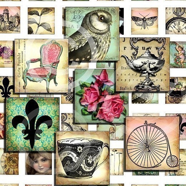 WHiMSiCaL 1 x 1 inchies squares digital Collage sheet Tea Pot Cup birds Owls Paris Alice in Wonderland Birdcage clock watch face cat vintage microscope clear glass slide soldered pendant paper supplies altered art s17