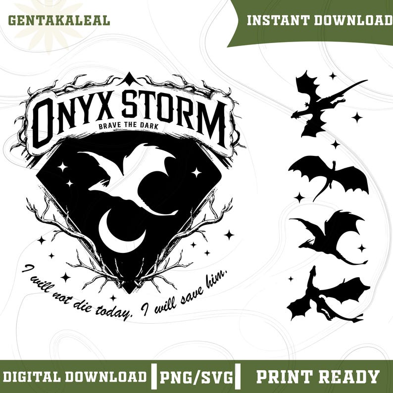 Onyx Storm Brave The Dark SVG PNG, Fourth Wing Series Shirt Design For Fan, Sorrengail Dragon Rider Png, Gift For Book Lover, Fourth Wingg image 1