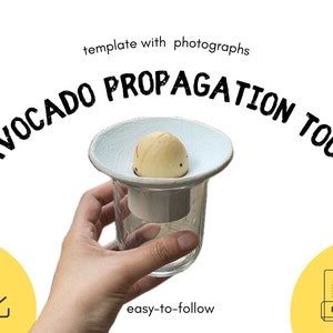 May include: A white ceramic avocado propagation tool with a light brown avocado pit inside. The tool is in a person's hand. The text "AVOCADO PROPAGATION TOOL" is written in black above the tool. The text "template with photographs" is written in black above the text "AVOCADO PROPAGATION TOOL". The text "easy-to-follow" is written in black below the tool. The text "PDF" is written in black on a white document icon in the lower right corner of the image.