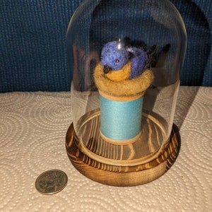 May include: A miniature bluebird sculpture in a nest, encased in a glass dome. The bird sits atop a light blue spool, mounted on a wooden base. The base is approximately 3 inches in diameter. A quarter is next to the base.