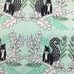 Squirrels on Green Organic Cotton/Spandex Jersey