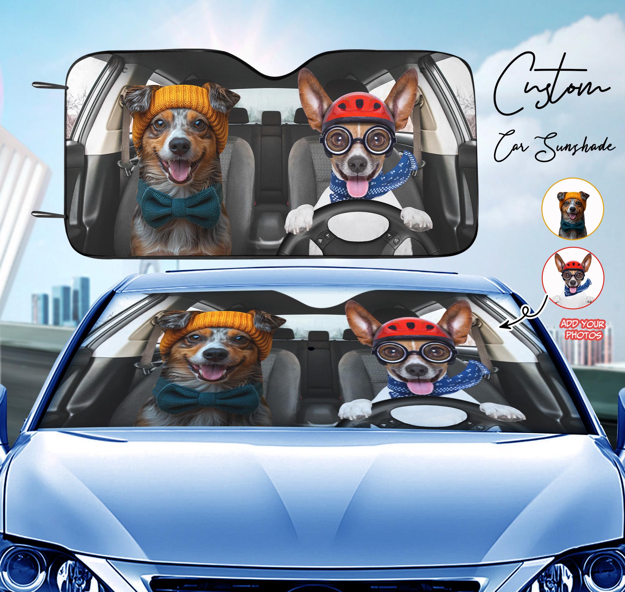 CAN YOU SEE US - Movie (Zambia-Netflix) - My Afrika Magazine