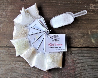 Laundry Soap Sampler SHIPPING INCLUDED