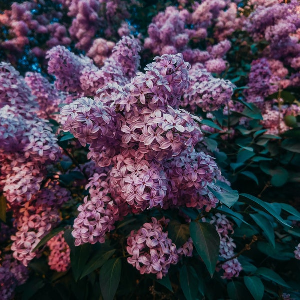 Laundry Refill Jars Etsy