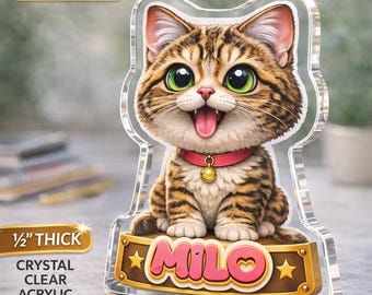 Estatua acrílica con retrato de gato personalizado, recuerdo de gato de dibujos animados personalizado