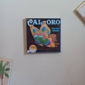 Orange Crate Label Magnet Cal-Oro Sunkist Oranges Tustin, CA