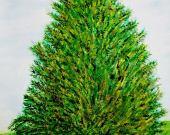 Original Watercolor Painting: Kentucky Red Cedar Tree, Unframed 18x24
