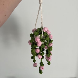May include: A crocheted hanging planter with a white cord and a green and pink plant. The plant has small pink flowers and green leaves.
