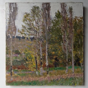 Peinture à l&#39;huile de paysage d&#39;automne, oeuvre d&#39;art originale, peinture à l&#39;huile vintage, art ukrainien, peinture d&#39;arbres, oeuvre d&#39;art européenne, unique en son genre