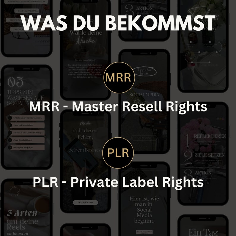 May include: A collage of images with the text "WAS DU BEKOMMST" in large, bold letters. The text "MRR - Master Resell Rights" and "PLR - Private Label Rights" are also visible. The images are of various social media marketing tips and strategies.